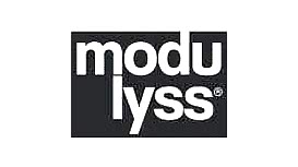 ModuIyss