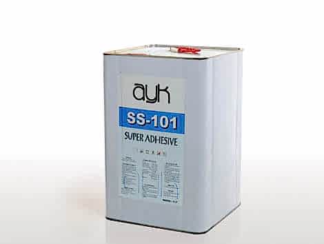SS 101